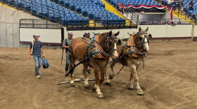 Competitors at the Missouri State Fair draft horse pull enter Mathewson Exhibition Center on Wednesday, Aug. 19.