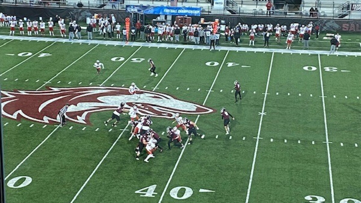 Salukis shutout Nicholls in playoff game in Carbondale - Vimarsana News