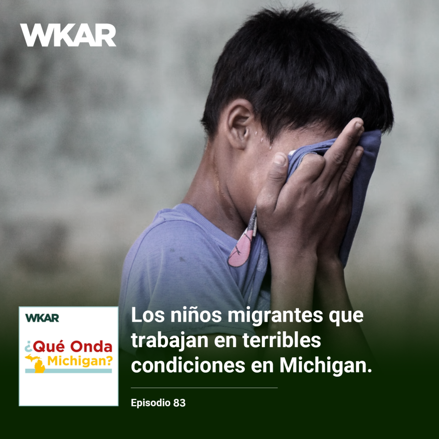 En la imagen se puede observar un joven con piel morena y pelo negro se encuetra sudando y se le puede observar usando una camiseta color purpura para limpiarse la cara. La cara del joven no se puede ver ya que esta siendo cubierta por la camiseta. En el lado inferior de la imagen esta el logo de Que Onda Michigan sobre un fondo blanco. En la parte derecha las siguientes palabras estan escritas: "Los niños migrantes que trabajan en condiciones terribles en Michigan." En el lado superior de la imagen se encuentra las pablaras "WKAR" en color blanco.  y "Episodio 83".