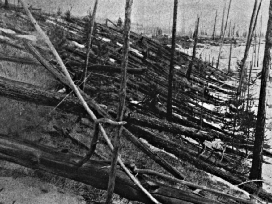 In 1927, Leonid Kulik led an expedition into Siberia to investigate the meteor explosion of 1908. He didn't find any meteorites, but he did see a lot of knocked-down trees.