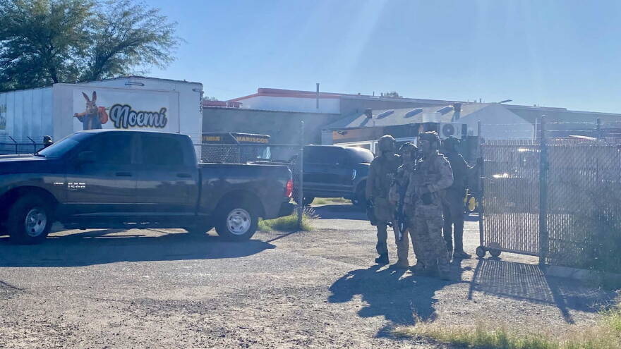 Ice Raid agents