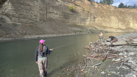 People wearing waders fish on the banks of a river. 