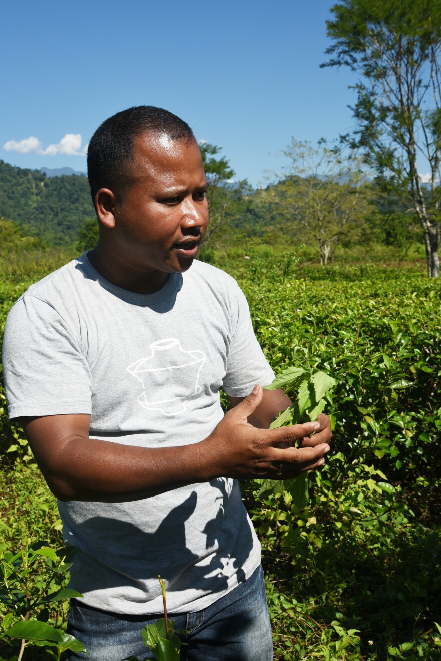 Tenzing Bodosa is a tea grower and a staunch practitioner of organic farming. He stands in his small tea estate beside the nature preserve he has cultivated. <strong> </strong>