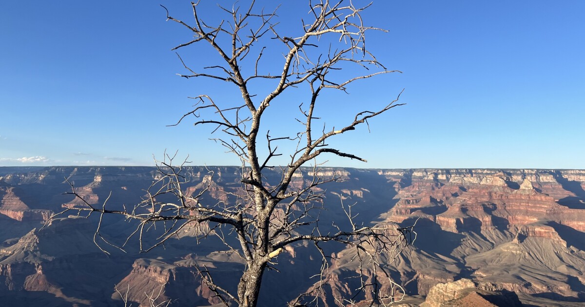 Grand Canyon’s North Rim is still closed from fire, but South Rim remains open for business