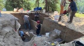 Members of a University of Alaska crew carefully excavate soil from the site of an ancient dwelling on Hollembaek Hill in the agricultural area south of Delta Junction.