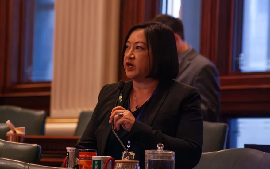 State Rep. Theresa Mah testifies in favor of a redistricting constitutional amendment on the House floor on April 22, 2026.
