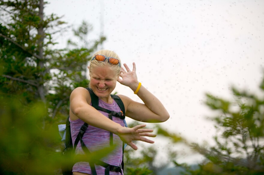 Female hiker being attacked by bugs on the Welch-Dickey trail.