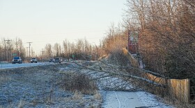 a tree falls over a fence near a highway