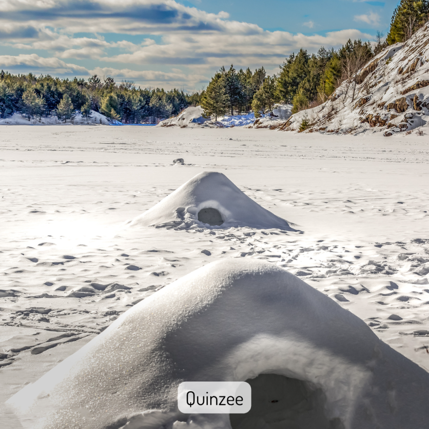 Two large snow huts sit on a frozen lake. They are heaps of piled snow that have developed a hard frozen crust, then been scooped out to form a small cave. In the background are green spruce trees and a steep, rocky lakeshore. The image is captioned "Quinzees".