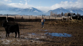 Hans McPherson at his ranch in the Bitterroot Valley.