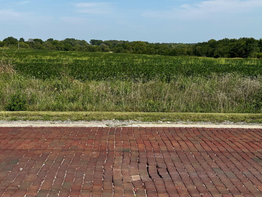 An old brick street with a soybean field 