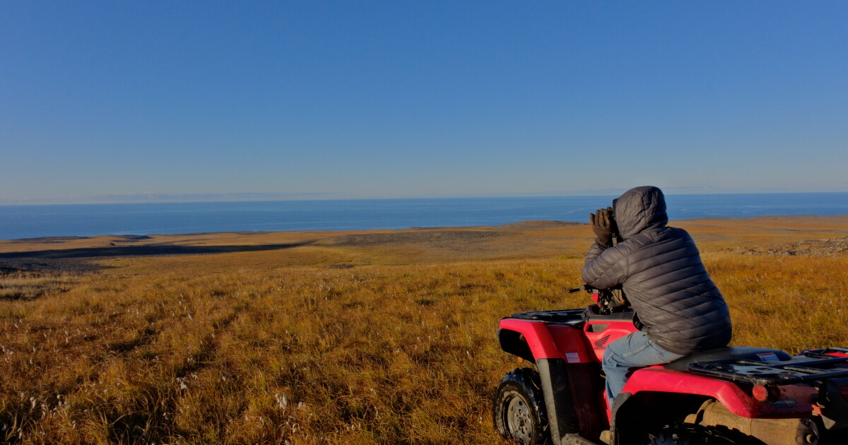 As climate change threatens subsistence, Savoonga is going from ...
