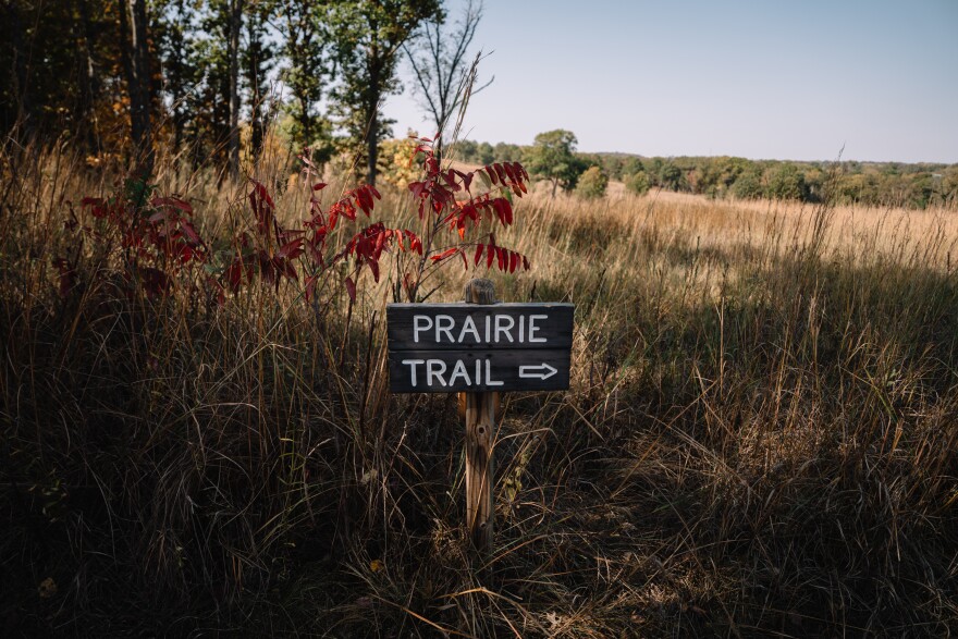 A prairie at the Shaw Nature Reserve on Thursday, Oct. 16, 2025, in Gray’s Summit.