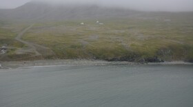 Cape Newenham in 2014.