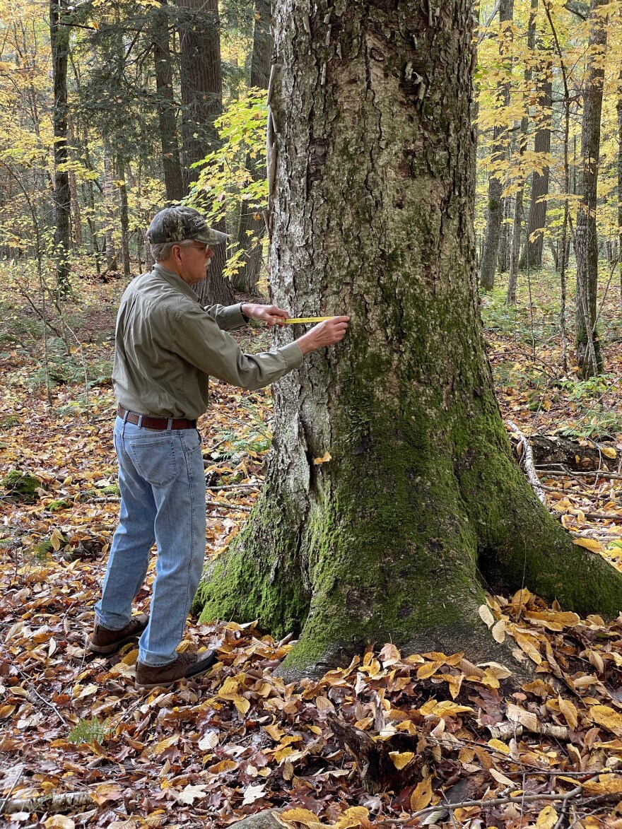 Rod Sharka in the Tenderfoot Nature Preserve, where the retired biology teacher has served as longtime volunteer stewardship manager.