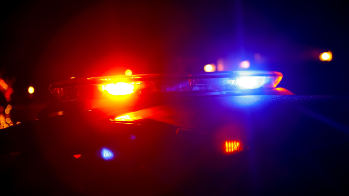 Four suspects are under arrest in a string of Leon County burglaries - Vimarsana News
