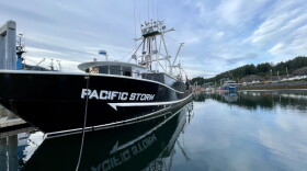 The Pacific Storm, a 104-foot trawler homeported in Kodiak, fishes pollock in the Gulf of Alaska. It also tenders for salmon during the summer.