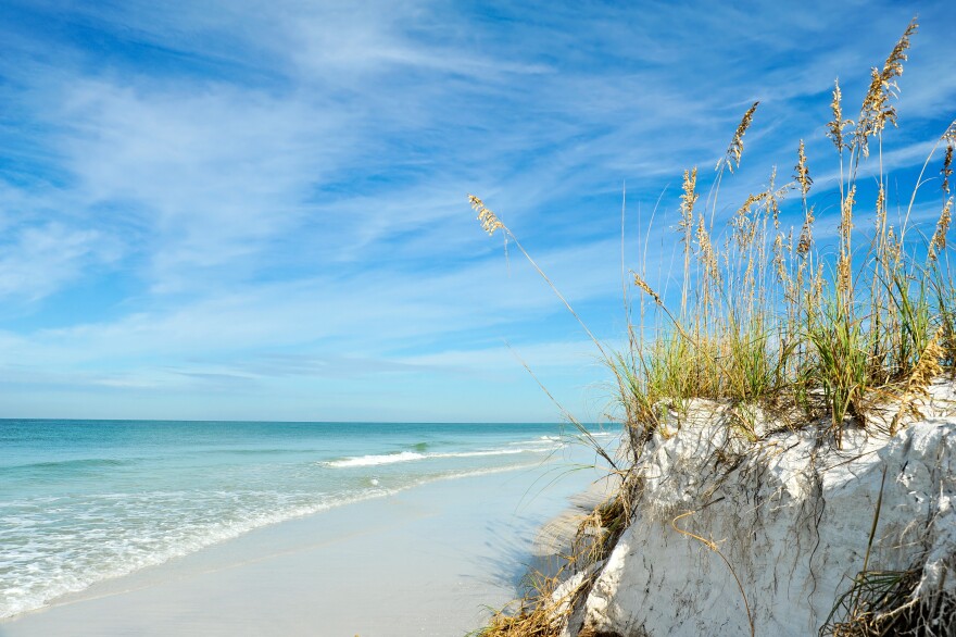 Coastline along Anna Maria Island, Florida.