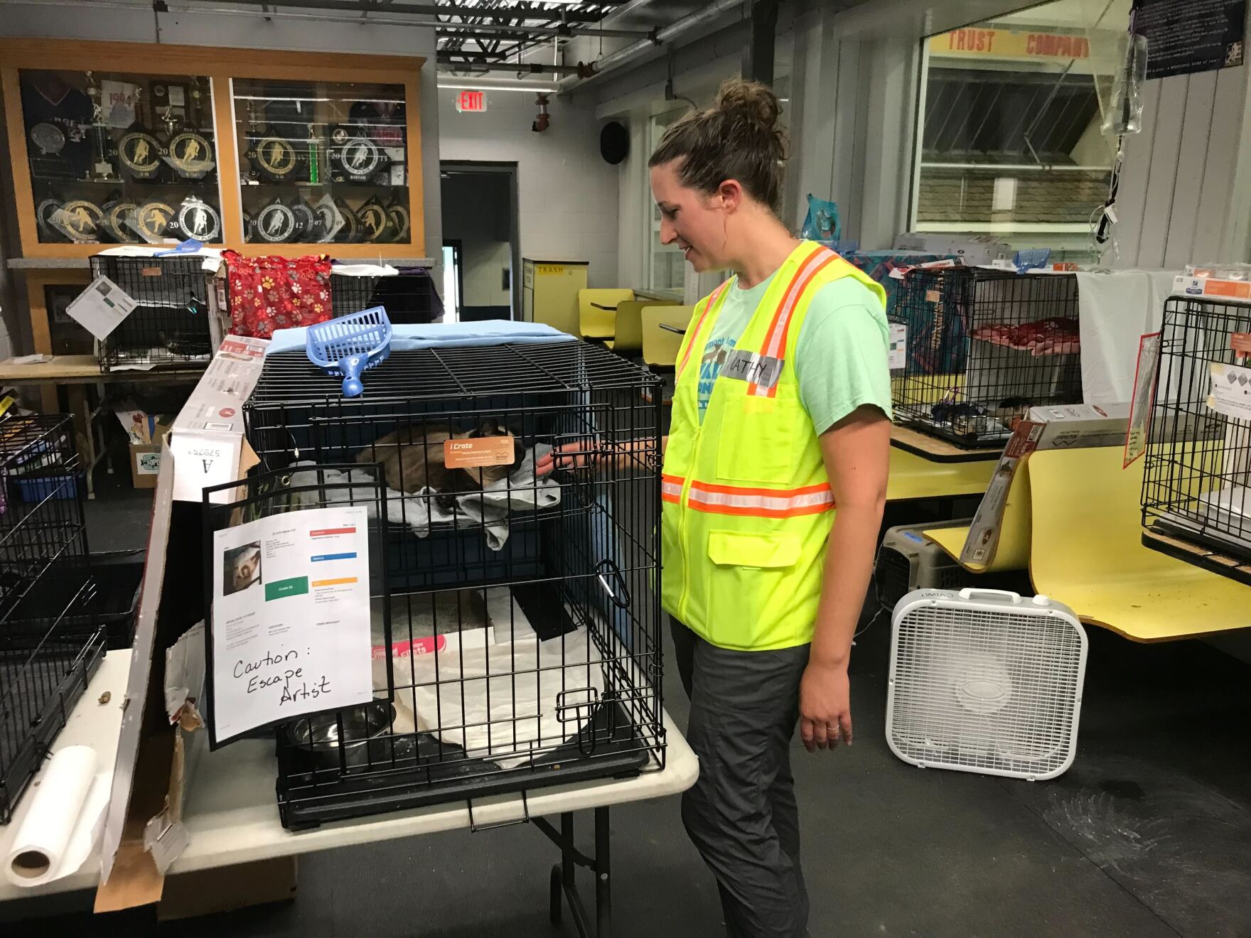 Barre animal lovers help shelter pets displaced by Vermont flooding