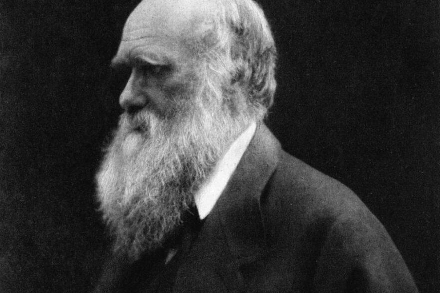 Charles_Darwin_Julia_Margaret_Cameron_Wiki-1000x666.jpg