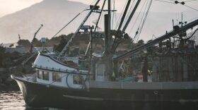 Several boats in Kodiak’s harbors have lined their decks with pots to harvest Tanner crabs. (Brian Venua/KMXT)