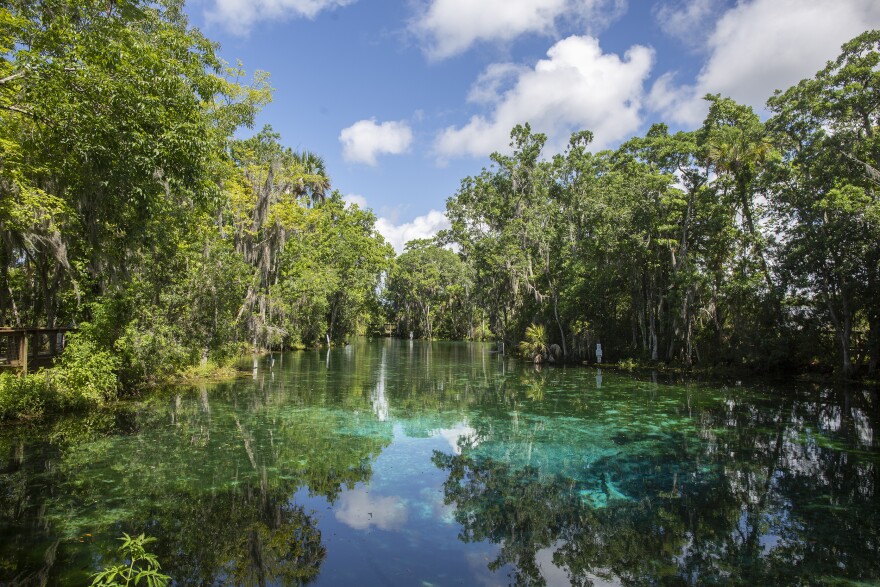 Wait 'til November to visit Three Sisters Springs in Crystal River ... Image Lavonte David image beautiful image beautiful image beautiful image beautiful image beautiful image beautiful - Wait 'til November to visit Three Sisters Springs in Crystal River ...