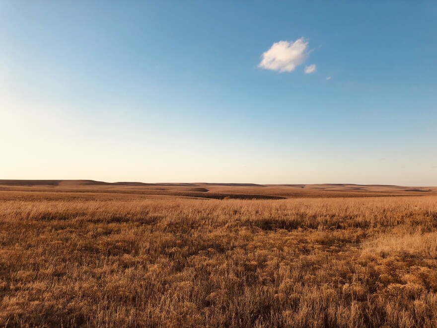A view of the prairie in the fall, with dried grasses under a blue sky.
