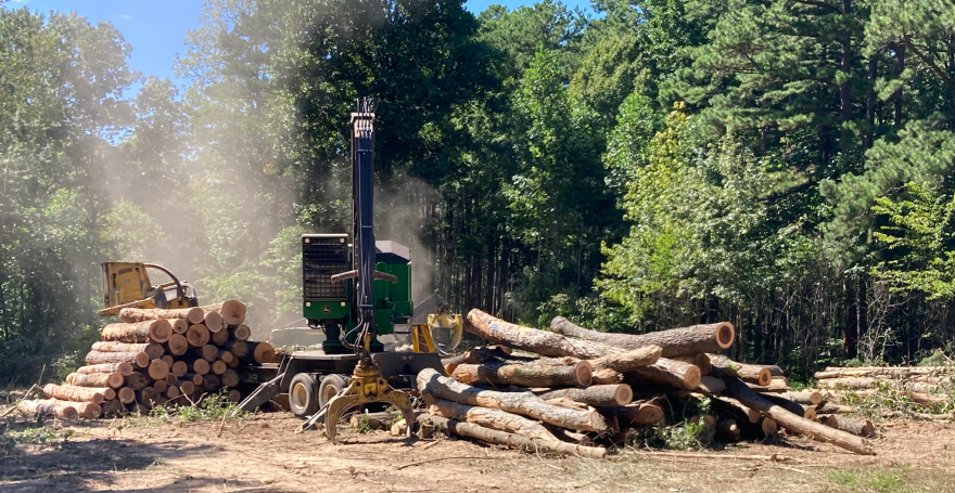 Log skidder approaching processor at logging site