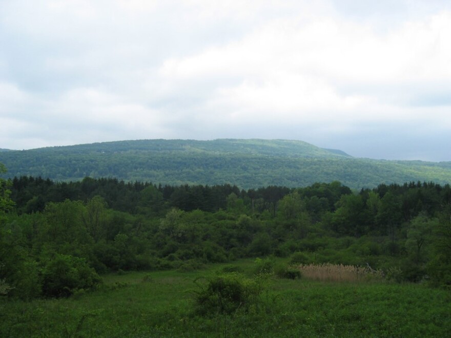 View of South Forest NRDAR property, Tully, NY, looking west. This is part of the property that will be managed by Onondaga Nation, in accordance with Traditional Ecological Knowledge.