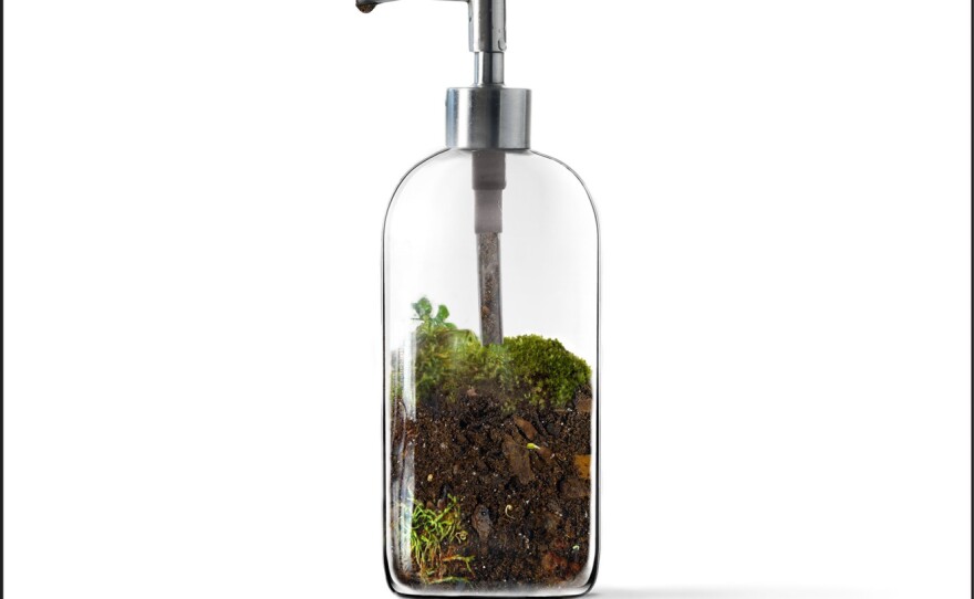 <em>Clean The New Science of Skin</em><em></em>, by James Hamblin.
