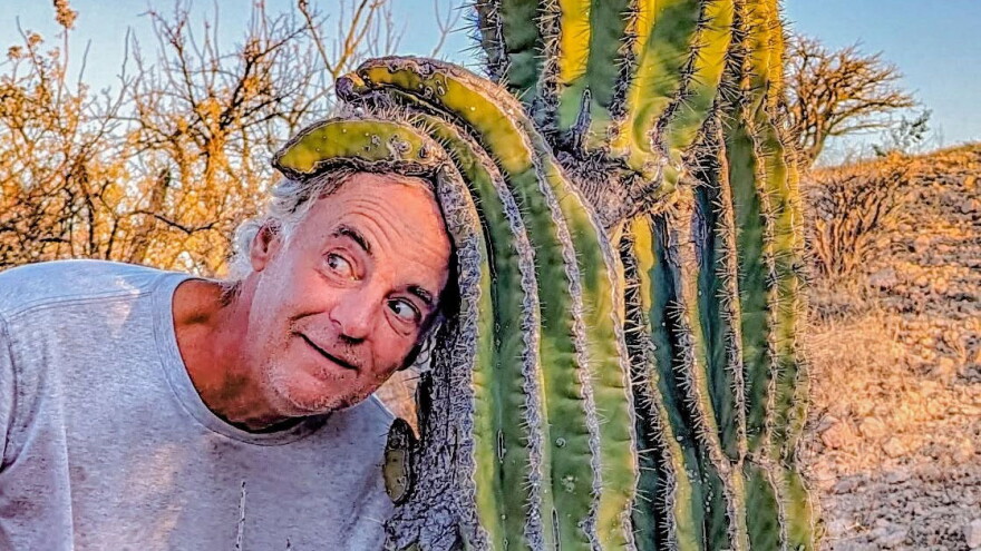 hamilton cactus hero