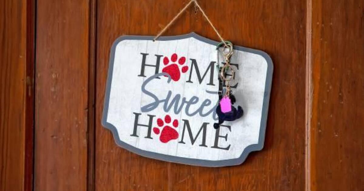 New report says NH’s caregivers need more support