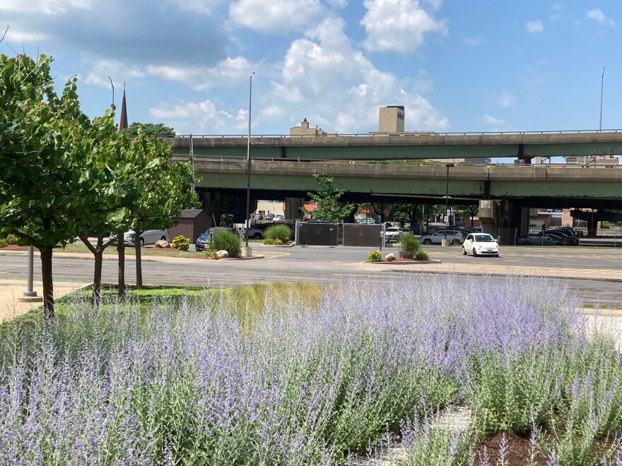 The lavender in front of the Center of Excellence near Almond St. contrasts with the aging, deteriorating viaduct.