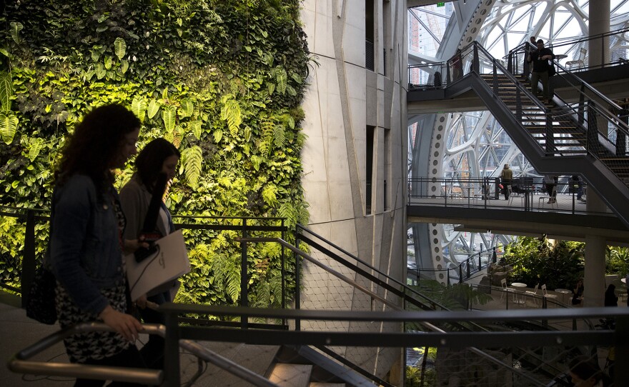 Guests walk through The Spheres on Monday, January 29, 2018, during the grand opening in Seattle.