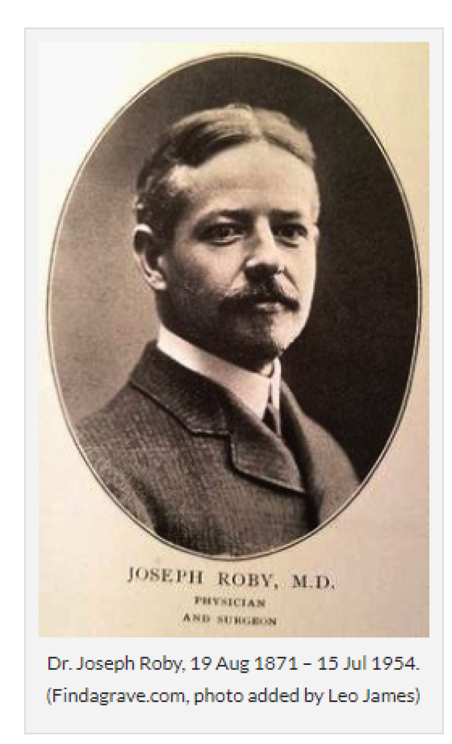 dr._roby.png
