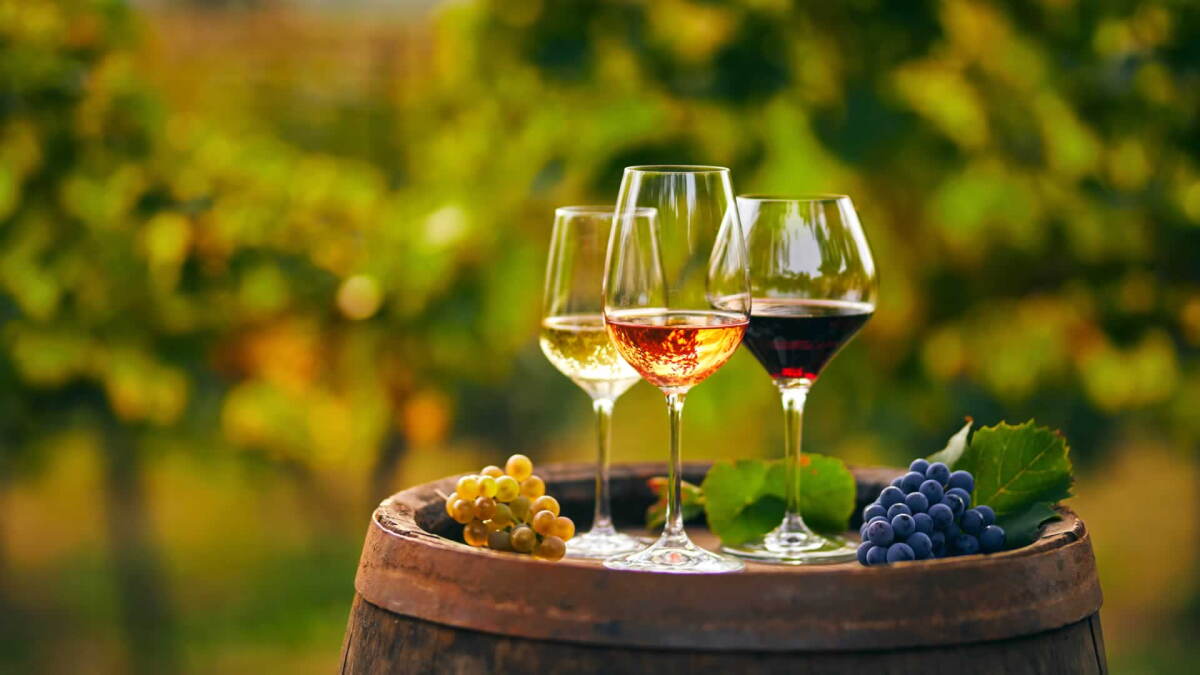 Octoberfest at Wichmann Vineyard in Cobden - Vimarsana News