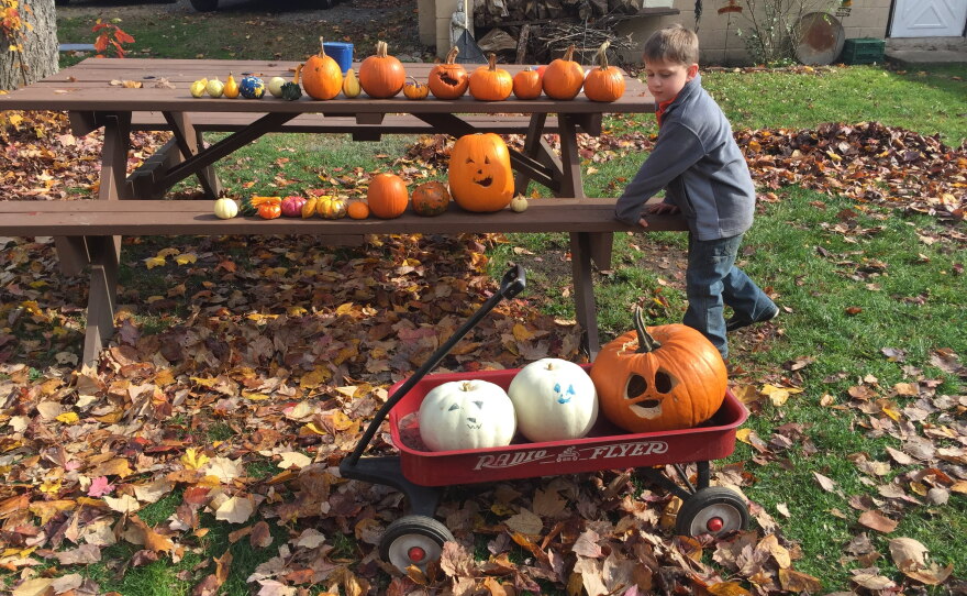Will Kapmeyer has always loved pumpkins.