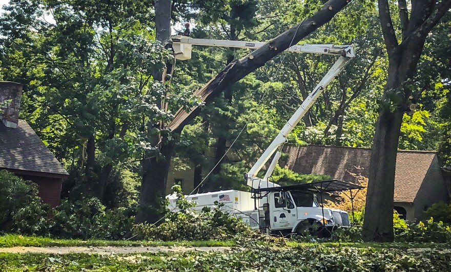 Workers clean up tree damage in Connecticut.