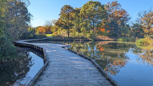 West Park in Ann Arbor.