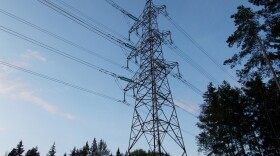 power lines in trees