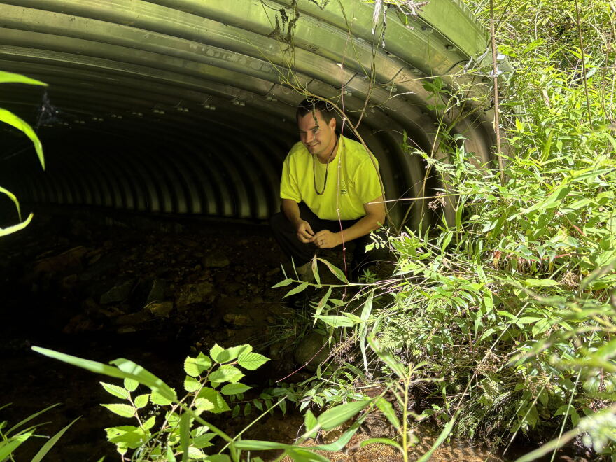 Benjamin Bradley sits in a culvert designed to keep Appalachian brook trout safe from road runoff.