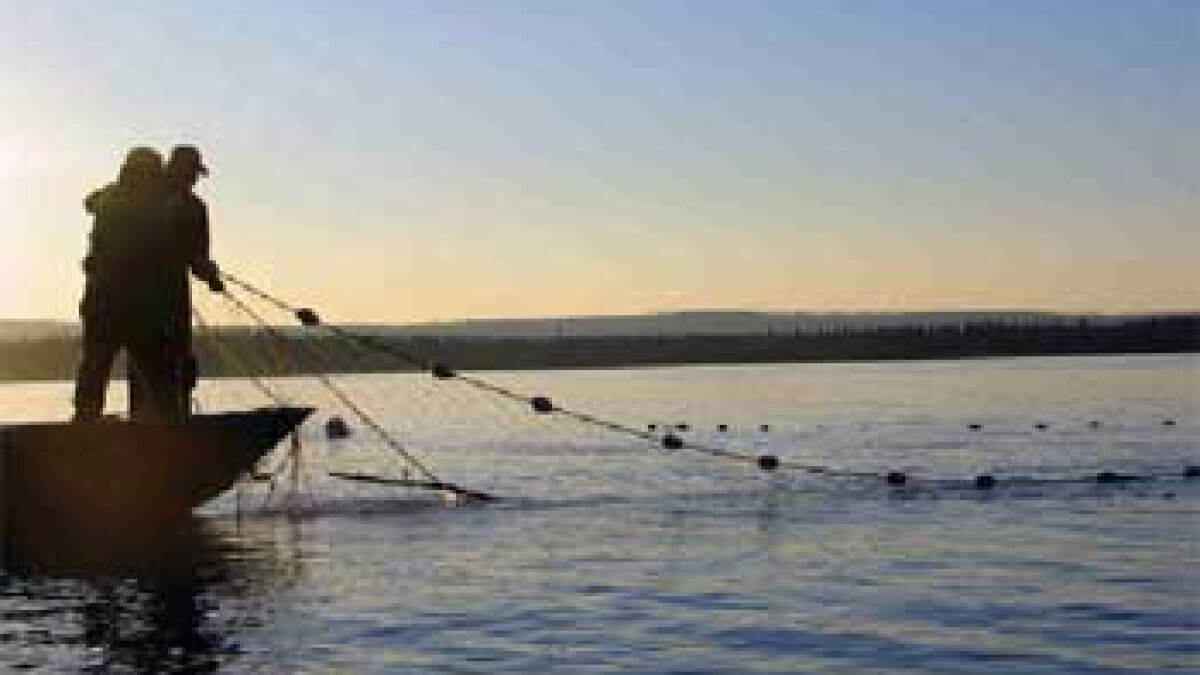 Fish and Game announces restrictions on Kuskokwim River above Aniak - Vimarsana News