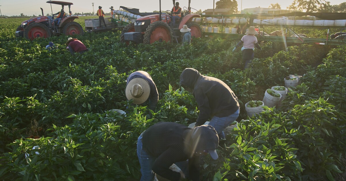 Current and former Michigan farmworkers included in lawsuit challenging federal wage cuts