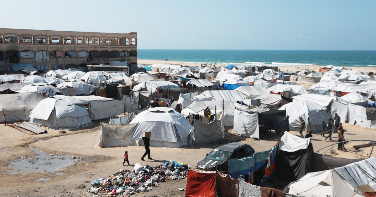 The devastating human toll of Israel's ongoing assault on Gaza