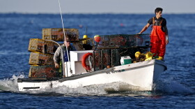 In this Aug. 24, 2019, file photo, Adam Daggett stands lookout on the bow as his father, John Daggett, pilots their boat at Cape Porpoise in Kennebunkport, Maine.