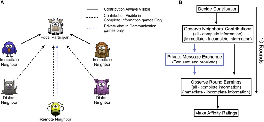 A picture of the flow of information during an experiment using a social game