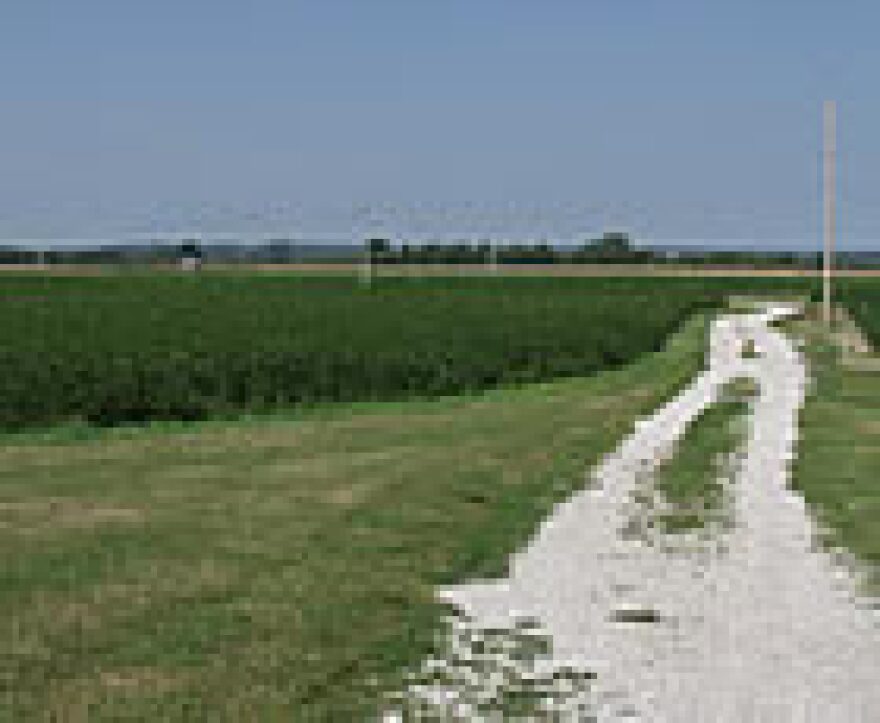 The floodplain near Valmeyer, Ill. is almost all farmland. Most of the town was moved after the 1993 flood and is located on a bluff, safe from floodwaters. (KWMU photo/Tom Weber)