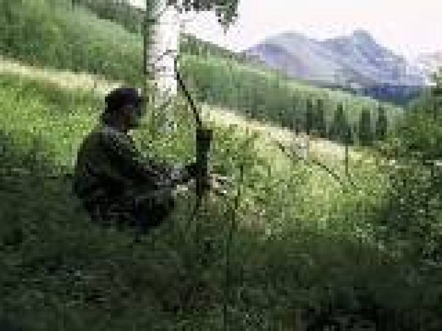Author and hunter David Petersen