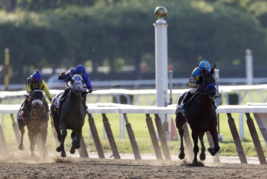 American Pharoah leads the pack en route to winning the 147th running of the Belmont Stakes. Photo by Shannon Stapleton /Reuters