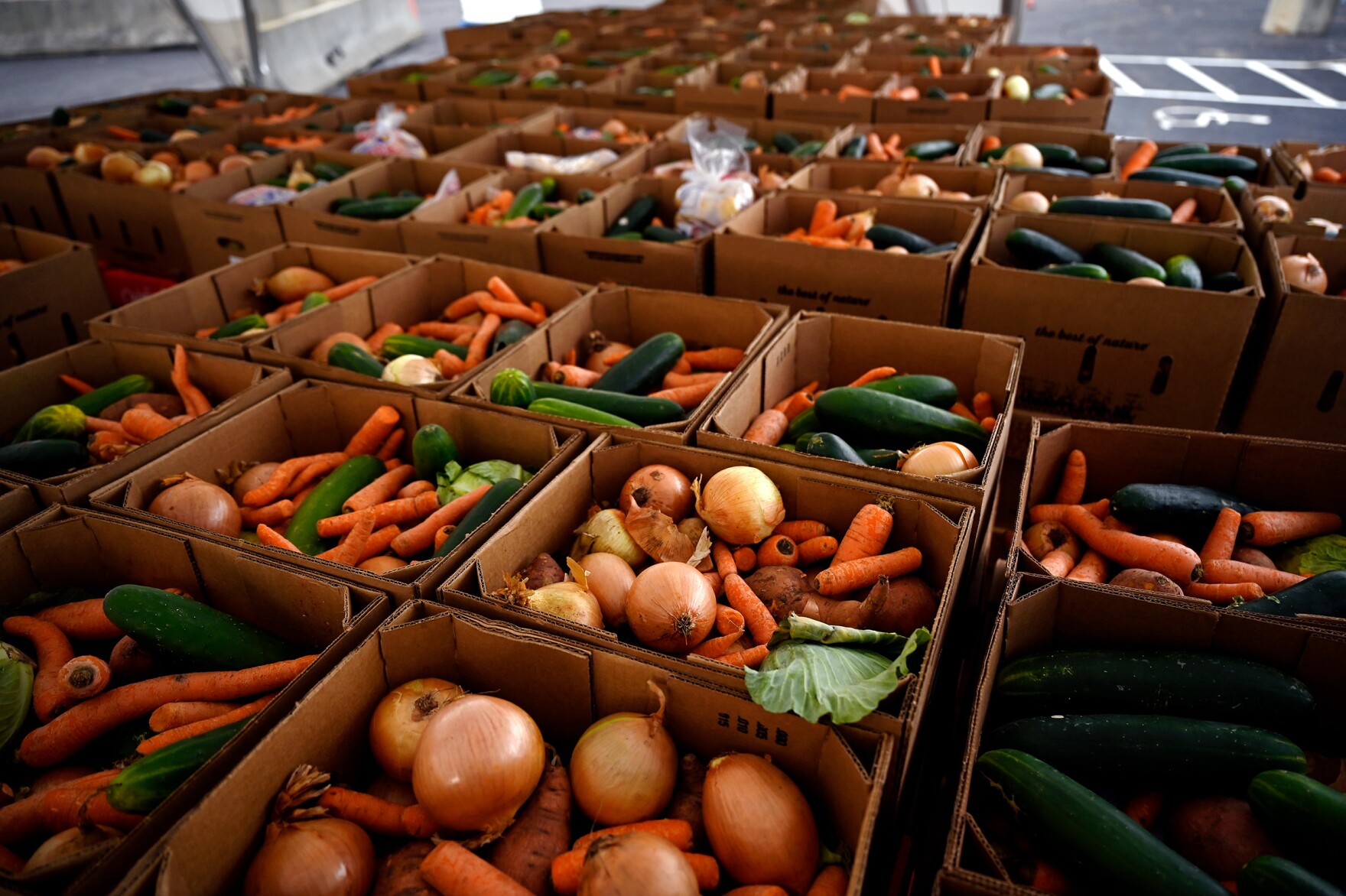 Photos Foodshare's Rentschler Field Site Reopens Connecticut Public